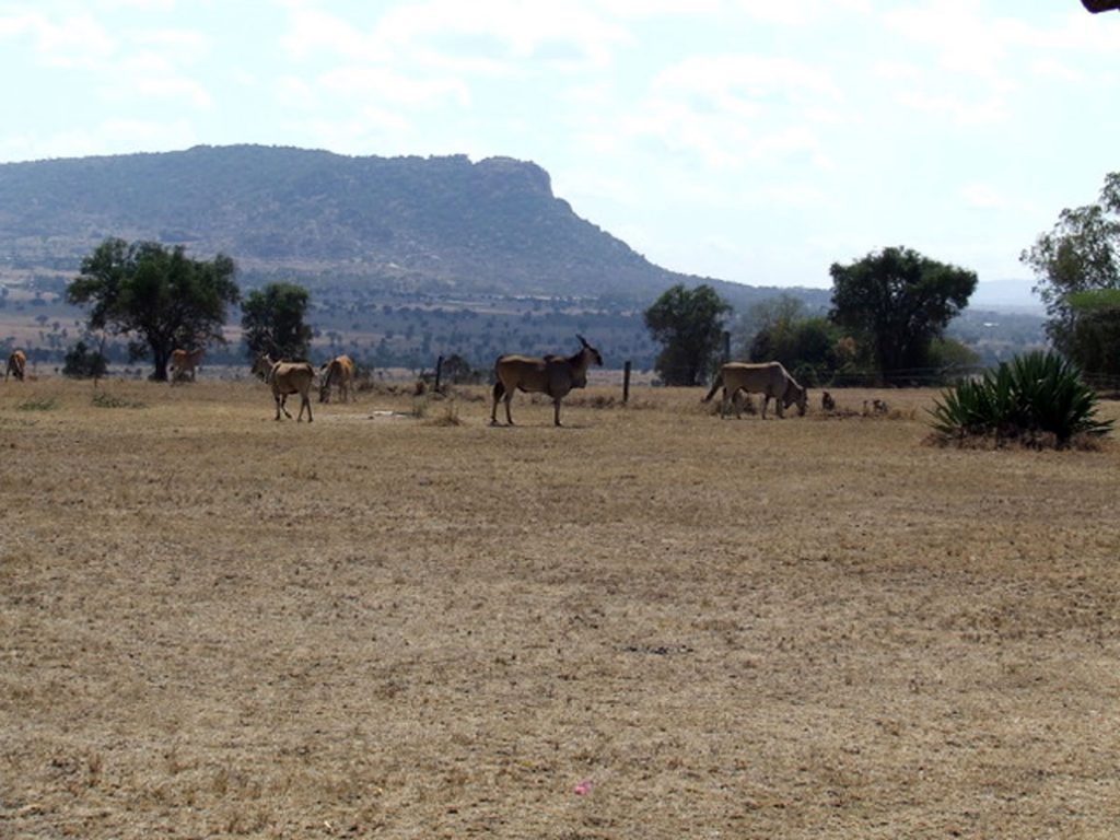 The beauty of Lukenya