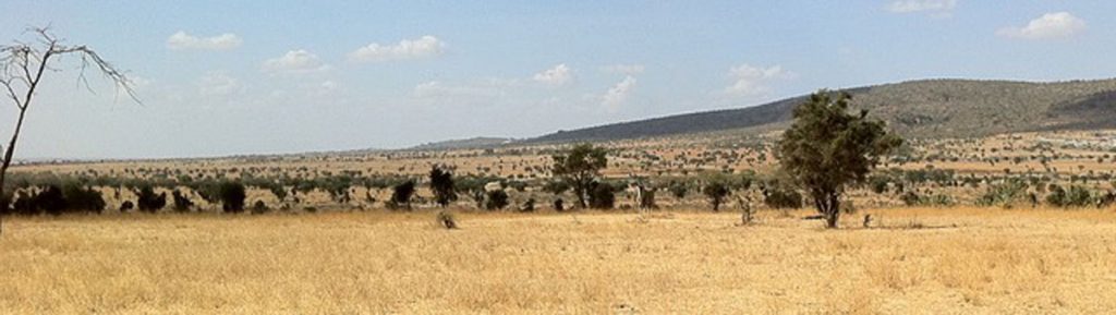 The beauty of Lukenya