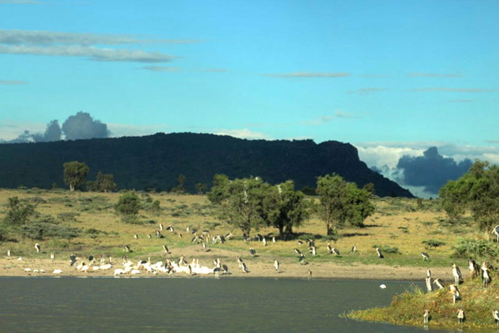 The beauty of Lukenya