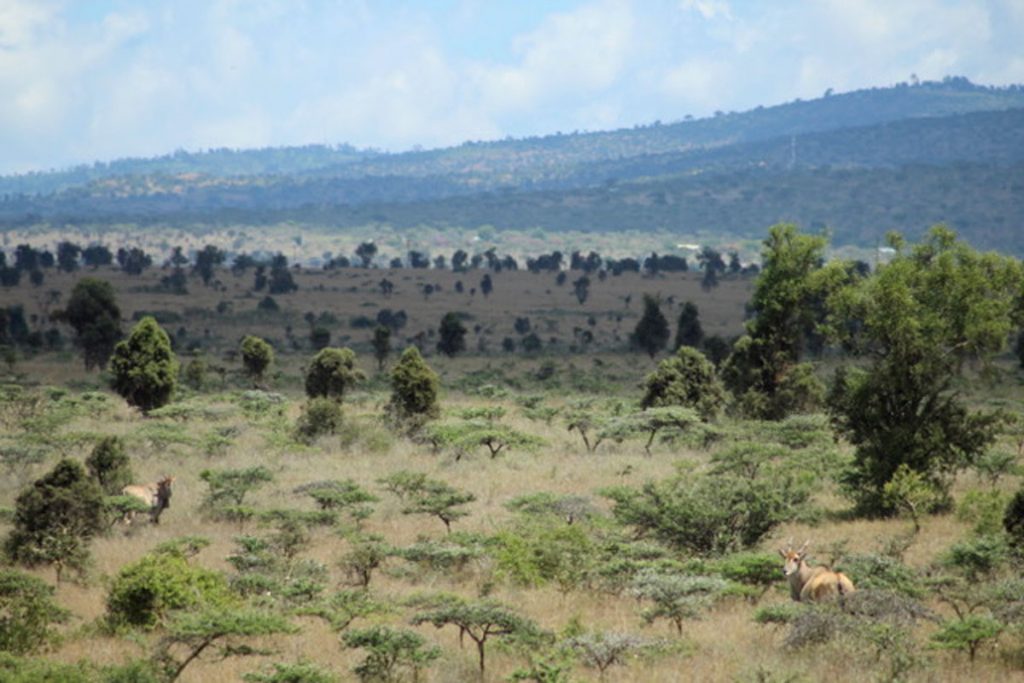 The beauty of Lukenya