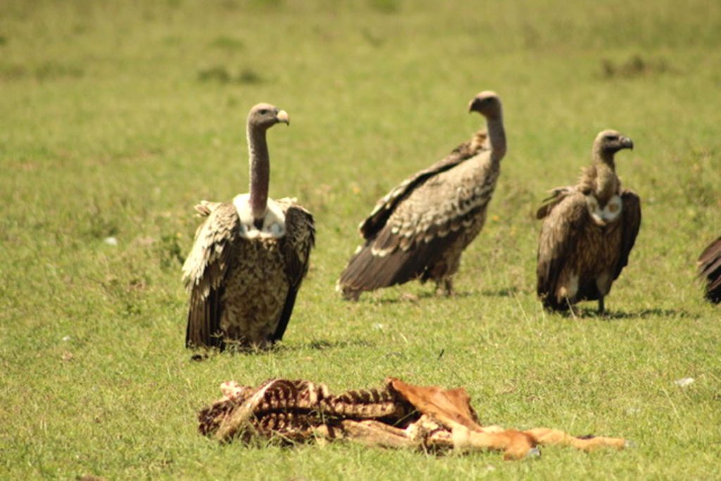 The beauty of Lukenya