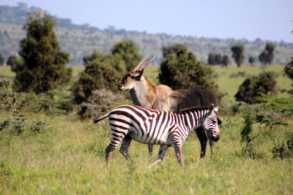 The beauty of Lukenya