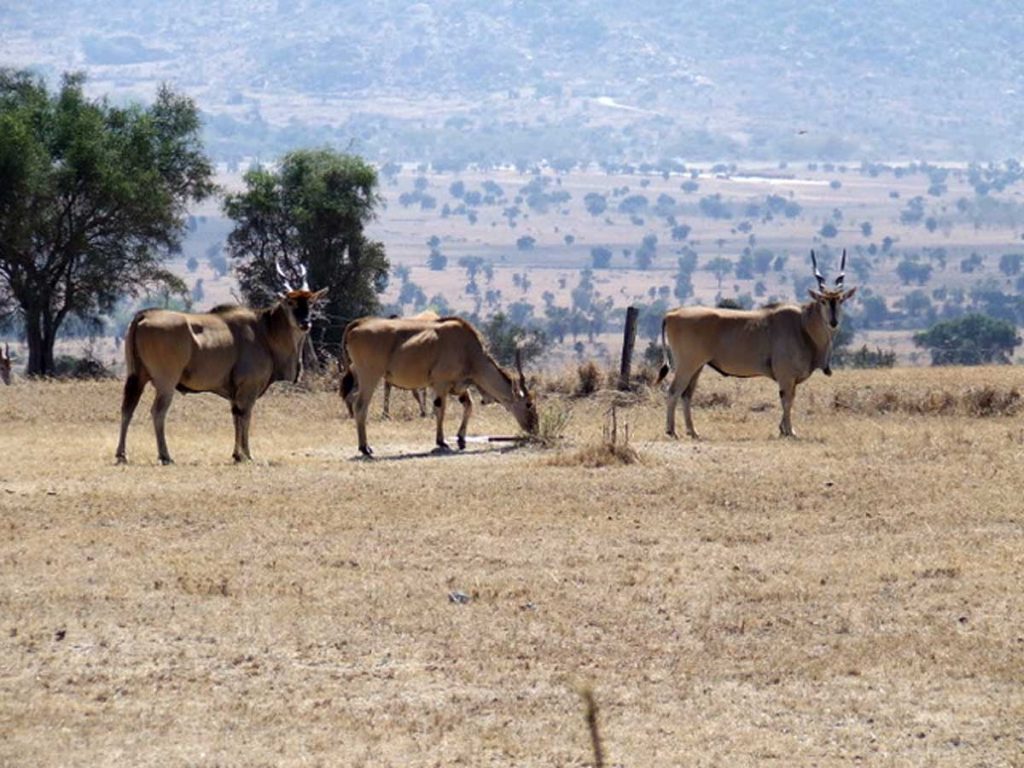 The beauty of Lukenya