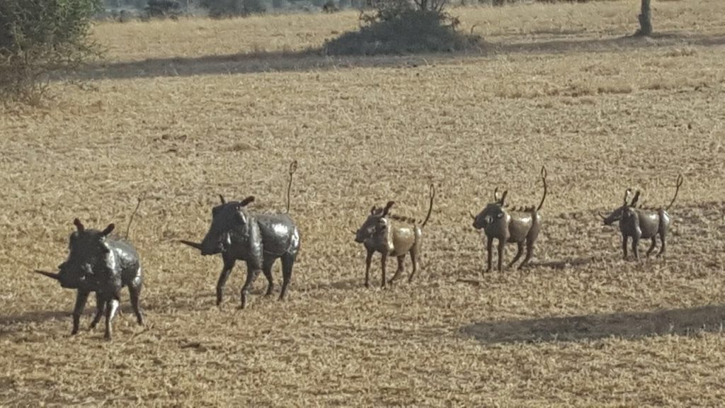 The beauty of Lukenya