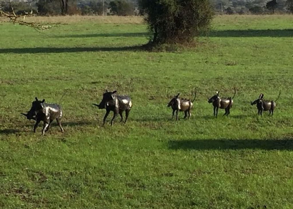 The beauty of Lukenya