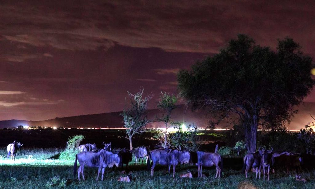 The beauty of Lukenya