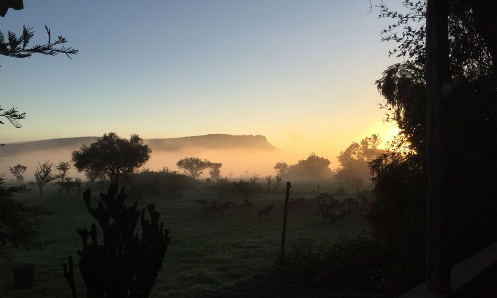 The beauty of Lukenya