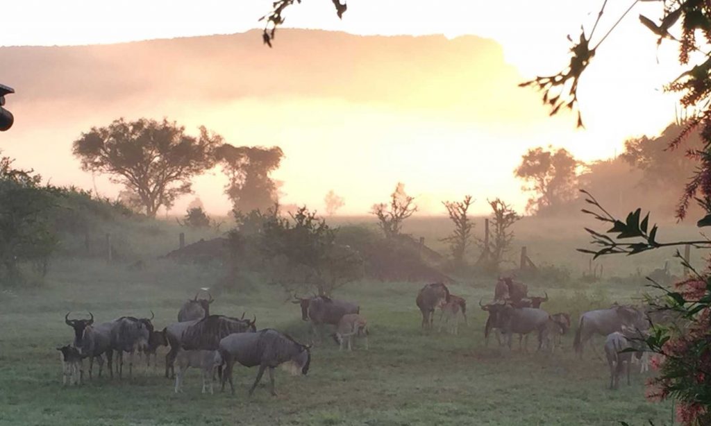 The beauty of Lukenya