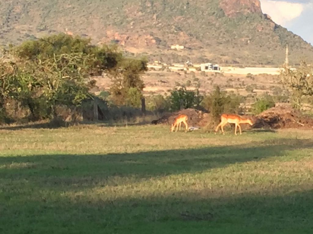 The beauty of Lukenya