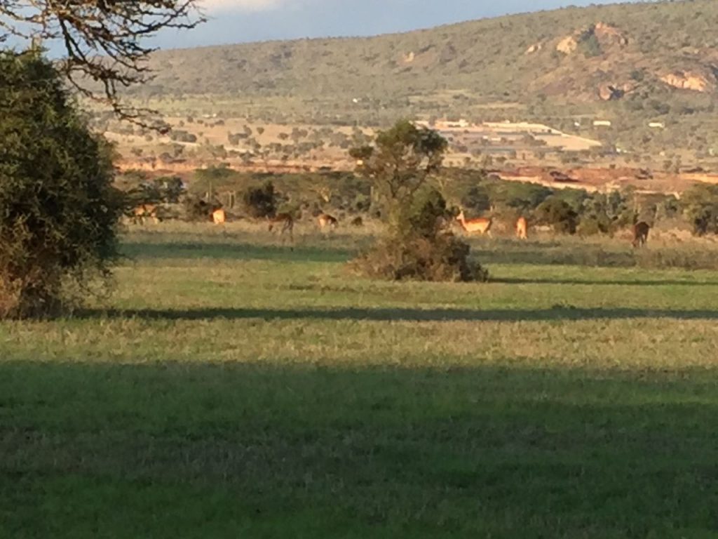 The beauty of Lukenya